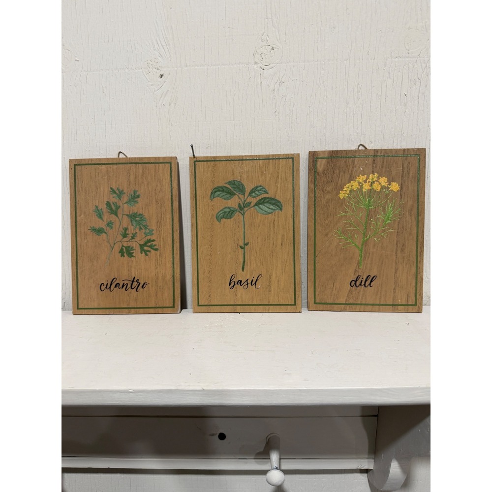 Vintage Botanical Wood Herb Wall Plaques Set of 3 Cilantro Basil Dill Farmhouse